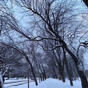 Meet your Posher, Maya